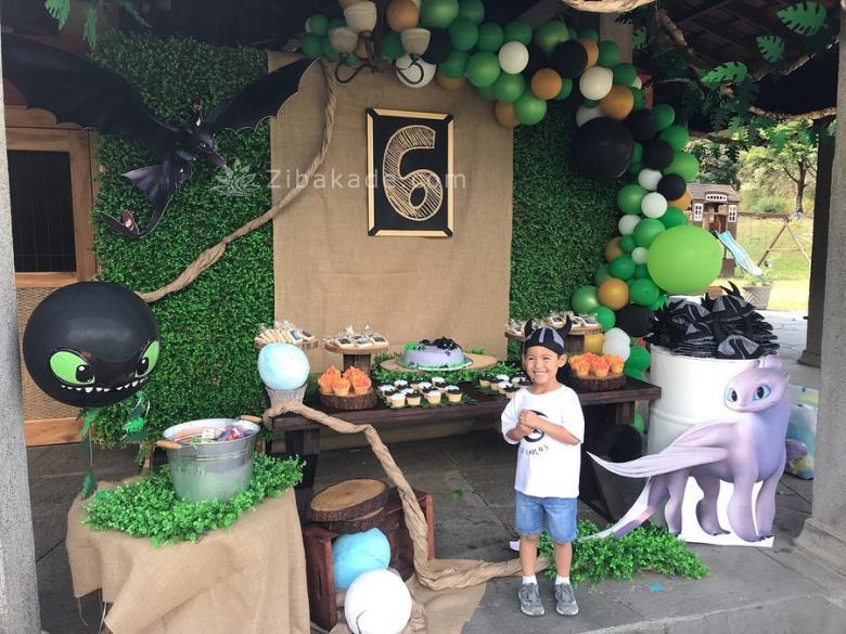 تم تولد مربی اژدها - How to Train Your Dragon